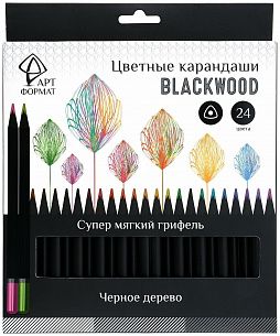 Набор цветных карандашей АРТформат Blackwood 24 цветов, трехгранный деревянный корпус