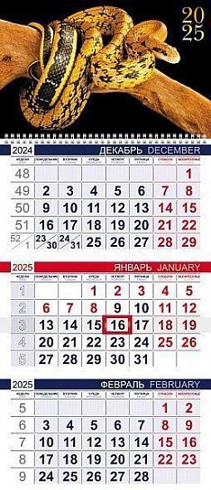 Календарь настенный кварт. 2025г. Хатбер ЭКОНОМ ГОД ЗМЕИ 298х690 мм 3 бл. 1 греб.